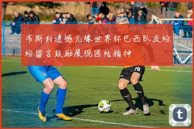 韦斯利遗憾无缘世界杯巴西队友纷纷留言鼓励展现团结精神