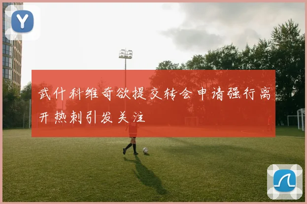 武什科维奇欲提交转会申请强行离开热刺引发关注