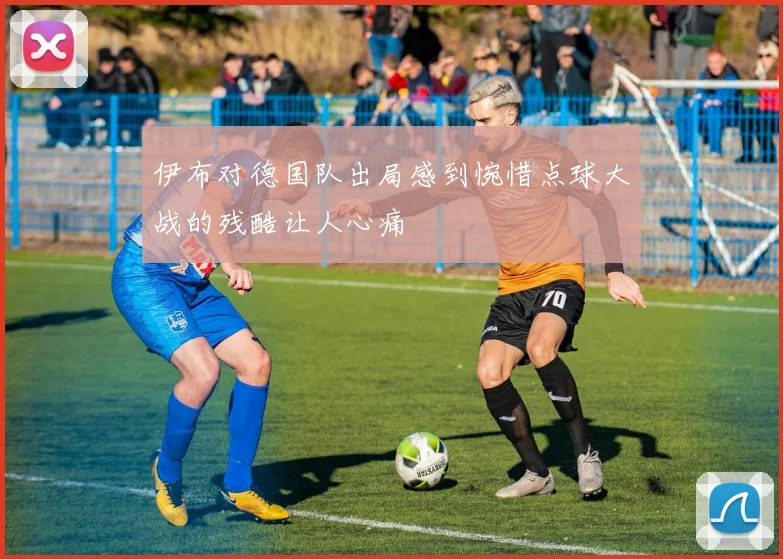 伊布对德国队出局感到惋惜点球大战的残酷让人心痛